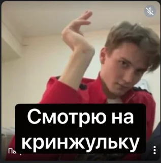 😐 emoji Дебатная лига Telegram sticker 8 of 28