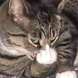 🖕 emoji китики 2.0 | @Stick4Gram Telegram sticker 19 of 120