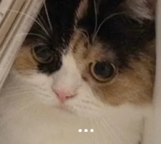 😐 emoji китики | @Stick4Gram Telegram sticker 9 of 120