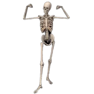 💀 emoji •ΤΛ• Telegram sticker 6 of 62