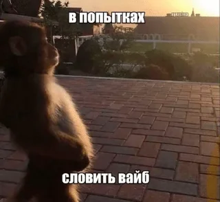 Sticker from мне похуй нахуй, я в буддизме