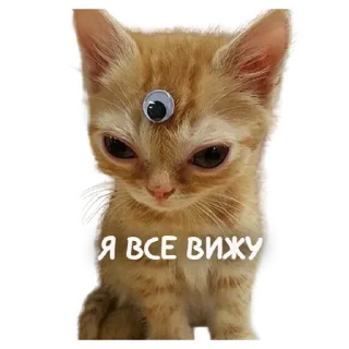 👀 emoji @budu_buddhu Telegram sticker 8 of 25