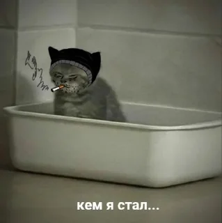 🗿 emoji как жить Telegram sticker 13 of 26