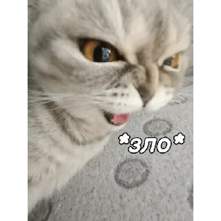 🥵 emoji ~Алиса агро~ Telegram sticker 13 of 74