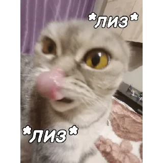 😋 emoji ~Алиса агро~ Telegram sticker 6 of 74