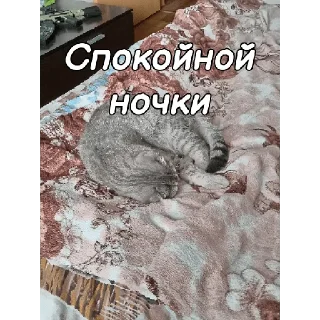 😴 emoji ~Алиса агро~ Telegram sticker 15 of 74
