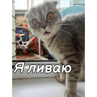 🫡 emoji ~Алиса агро~ Telegram sticker 11 of 74