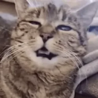 😱 emoji Свалка. Telegram sticker 23 of 65
