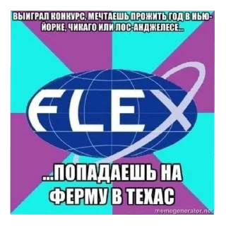 Sticker from FLEX KZ @whyaraf