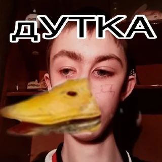 🦆 emoji Viktor Dudka Telegram sticker 12 of 40