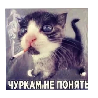 👍 emoji Мой пак @xsggm Telegram sticker 13 of 73