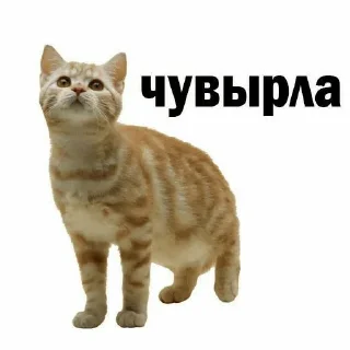 😈 emoji Стикеры ➜ @StickersPackRobot Telegram sticker 18 of 77