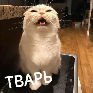 😡 emoji Стикеры ➜ @StickersPackRobot Telegram sticker 2 of 77