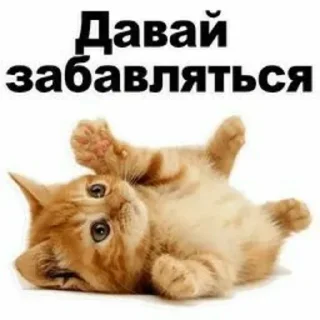 🤪 emoji Стикеры ➜ @StickersPackRobot Telegram sticker 23 of 77