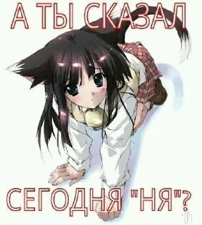 🙊 emoji Я КОНЧЕННАЯ Telegram sticker 16 of 56