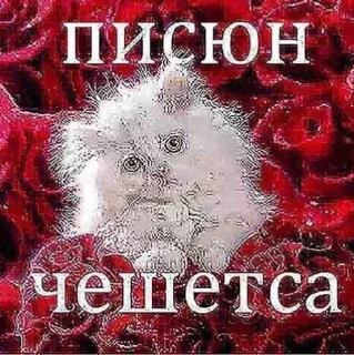 🌹 emoji гадина пак ➡️ @Ctikerubot Telegram sticker 23 of 28
