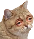 😴 emoji Triple 6 9 Telegram sticker 10 of 120