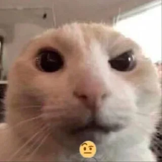 🤨 emoji amogus Telegram sticker 16 of 115