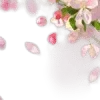 🌟 emoji 🌸Chiikawa▻@angeldokidoki @nymoren🍃 Telegram sticker 15 of 200