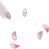 🌟 emoji 🌸Chiikawa▻@angeldokidoki @nymoren🍃 Telegram sticker 21 of 200