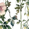 🌟 emoji 🌸Chiikawa▻@angeldokidoki @nymoren🍃 Telegram sticker 10 of 200