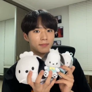 🦊 emoji junseo @weiruistan Telegram sticker 14 of 47