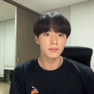 🦊 emoji junseo @weiruistan Telegram sticker 16 of 47