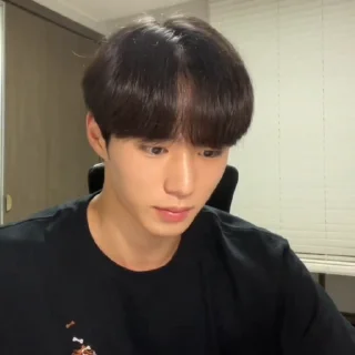 🦊 emoji junseo @weiruistan Telegram sticker 23 of 47