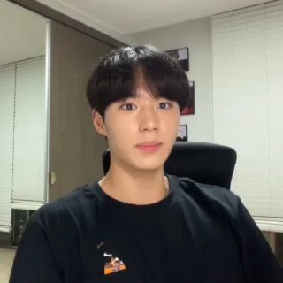 🦊 emoji junseo @weiruistan Telegram sticker 11 of 47