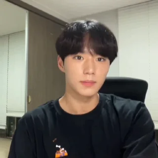 🦊 emoji junseo @weiruistan Telegram sticker 8 of 47
