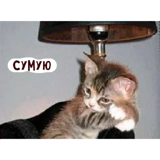 Sticker from няшкі