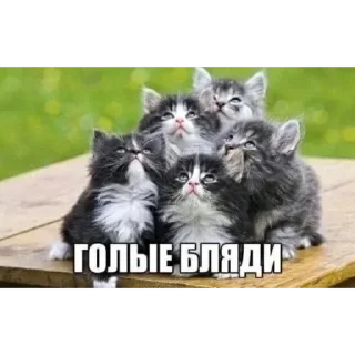 💕 emoji мама я люблю Telegram sticker 6 of 120