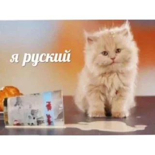 😂 emoji мама я люблю Telegram sticker 23 of 120