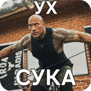 💪 emoji Скала Telegram sticker 11 of 18
