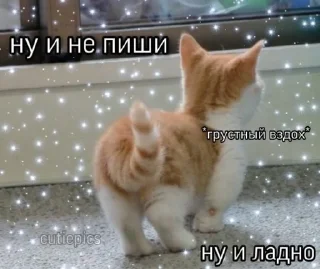 🙄 emoji животные кьют Telegram sticker 6 of 28