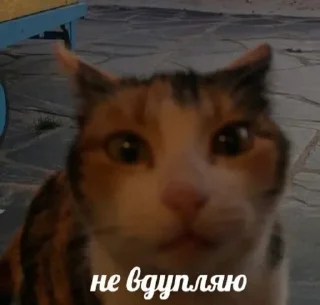 🤔 emoji животные кьют Telegram sticker 17 of 28