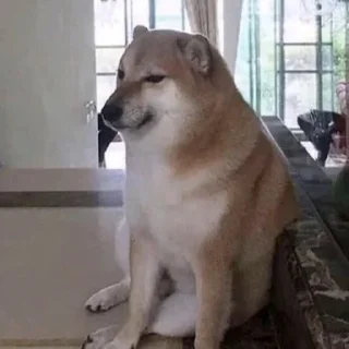 🐶 emoji я еблан Telegram sticker 24 of 120