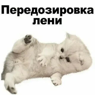😊 emoji я ебц Telegram sticker 8 of 105