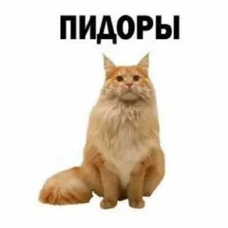 😘 emoji я ебц Telegram sticker 13 of 105