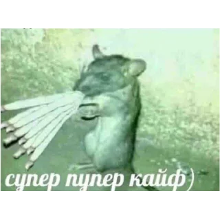 Sticker from пуси джуси на тусе