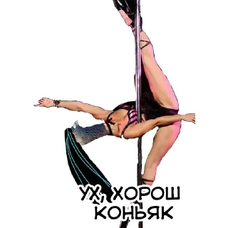 👍 emoji Голуби Моби и Чжань Telegram sticker 20 of 41