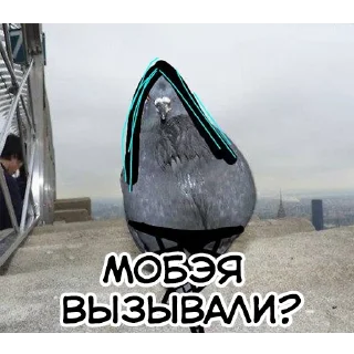 👋 emoji Голуби Моби и Чжань Telegram sticker 17 of 41