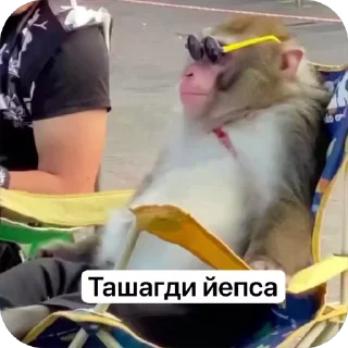 😎 emoji KRINJXUB бй Флойд Telegram sticker 15 of 72