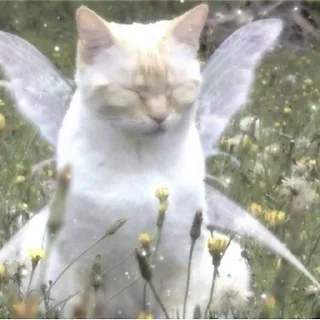 🧚‍♀️ emoji Больше стикеров: @sticerru Telegram sticker 9 of 66