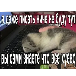 😣 emoji КотятаЁбнулись🚬 Telegram sticker 22 of 86