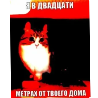 💢 emoji КотятаЁбнулись🚬 Telegram sticker 3 of 86
