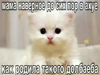 😔 emoji КотятаЁбнулись🚬 Telegram sticker 5 of 86