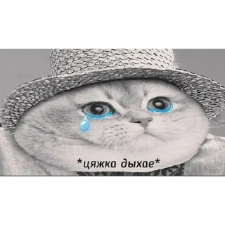 Sticker from Чтобы долго не искать