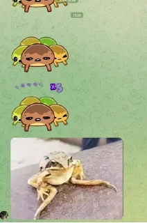 🐸 emoji ⚔️ JMSMP 2 Сезон / 1 Часть ⚔️ | @JessieMinecraft Telegram sticker 23 of 114