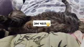 Sticker from локи